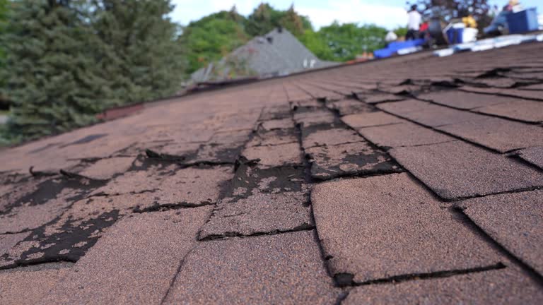 Best Hot Roofs  in New York Mills, NY